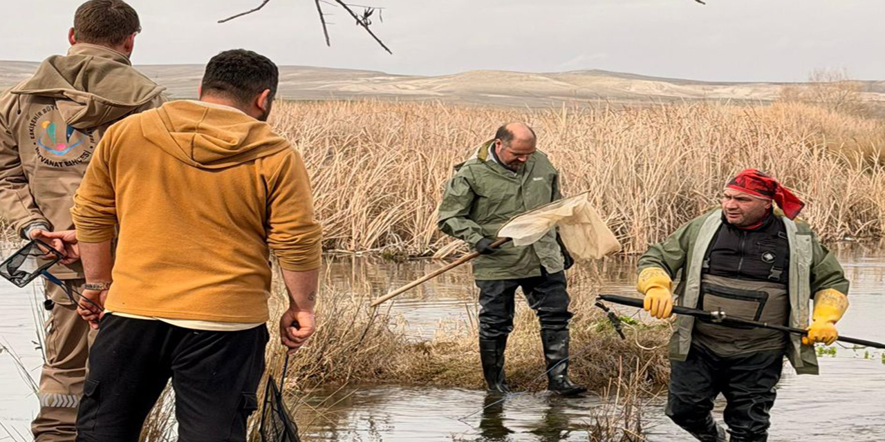 Eskişehir'de sulak alanlar için anlamlı proje