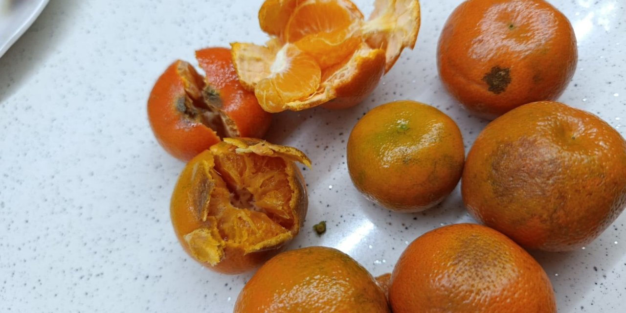 Eskişehir'de pazarcı kurnazlığı: Meyveler çürük çıktı!