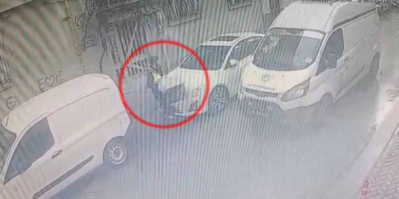 Odunpazarı Belediyesi sokaktaki kedi evlerini kaldırdı