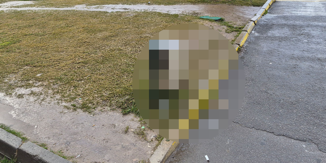 Eskişehir'de çirkin manzara