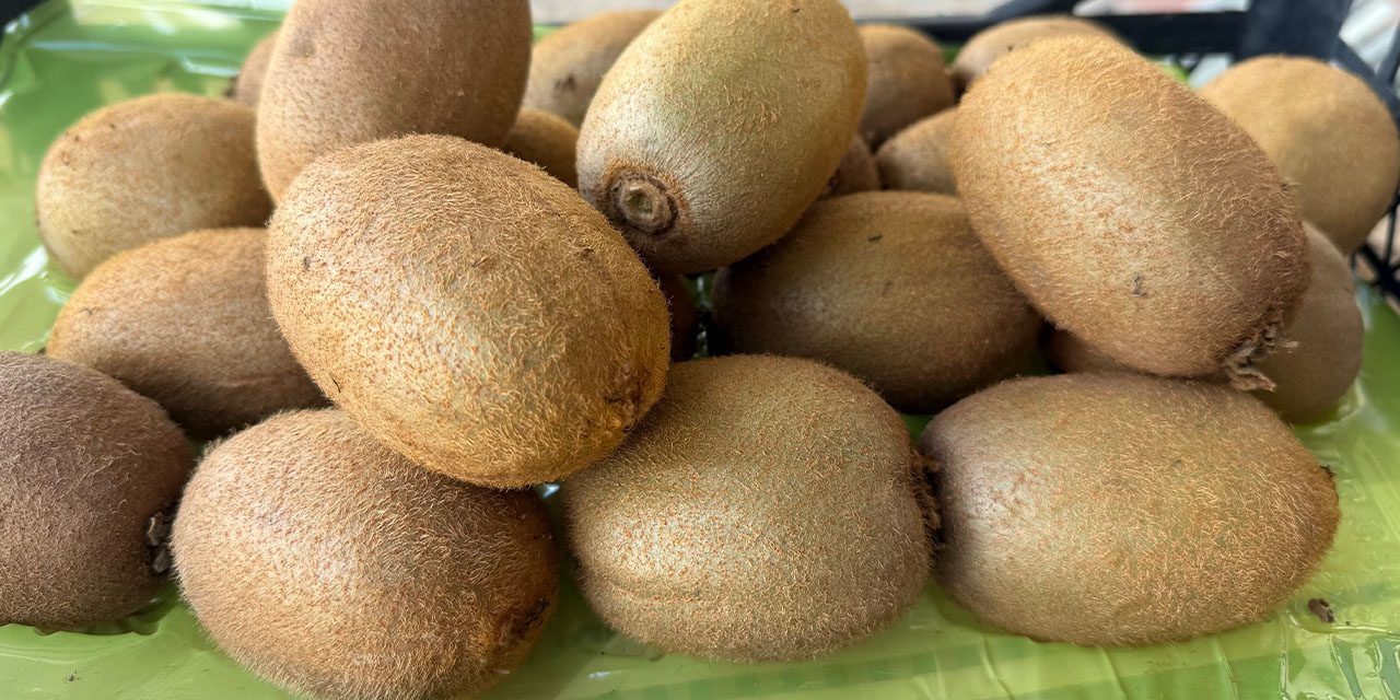 Dev kiviler rekor ürün olarak anılıyor