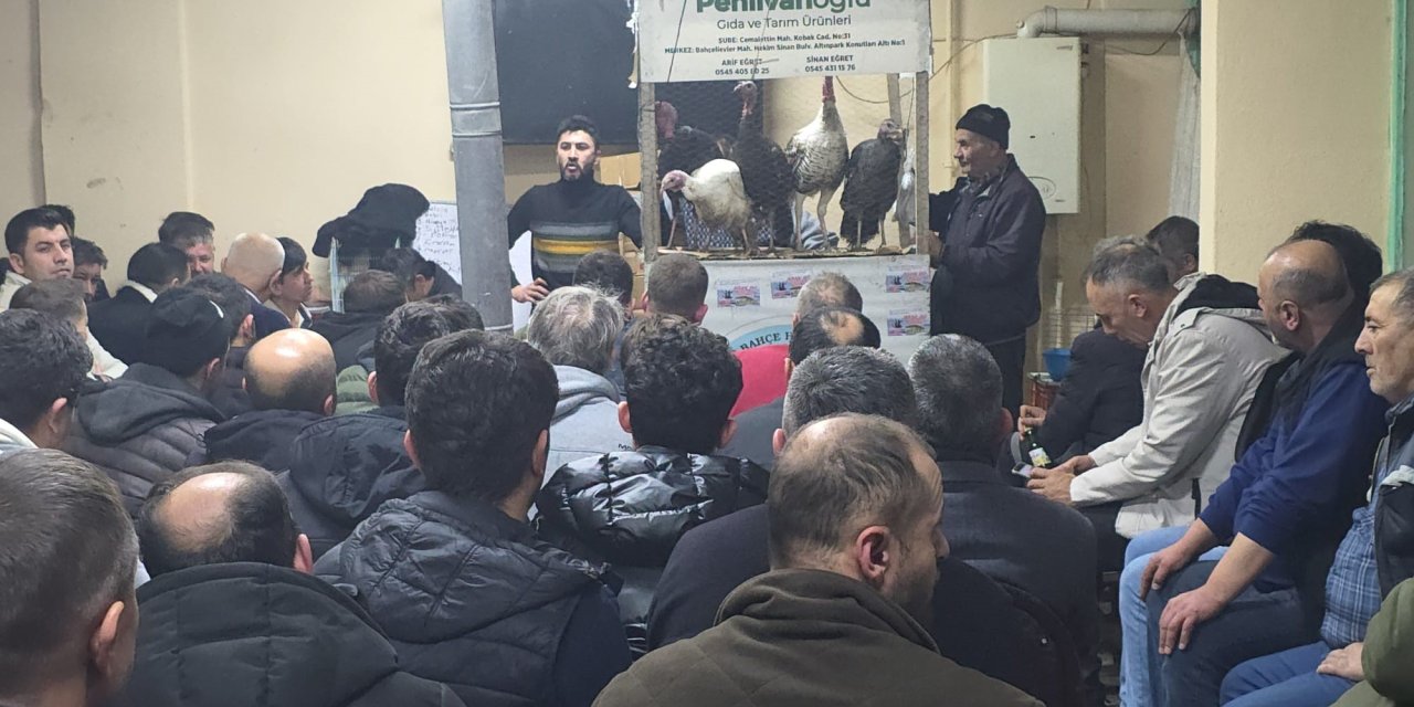 Süs tavuğu mezadı çevre illerden ilgi görüyor