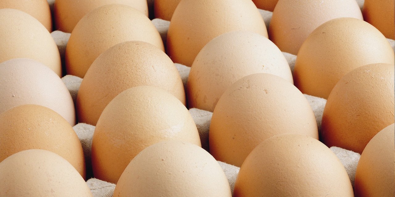 Türkiye'de yumurta üretimi  geriledi