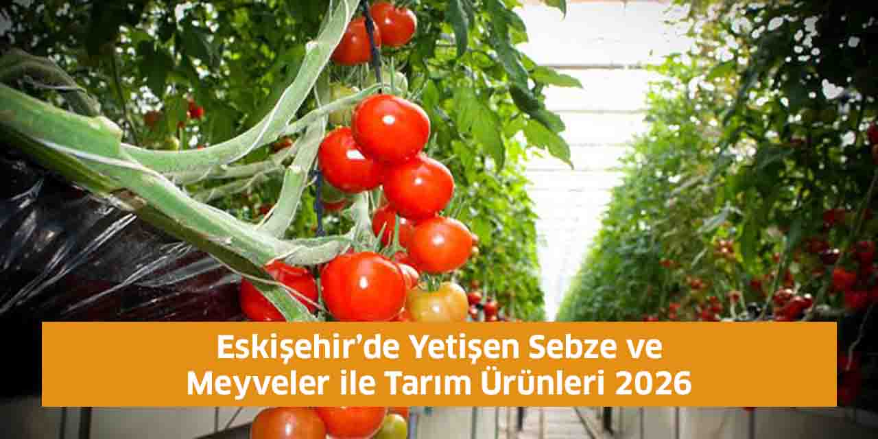 Eskişehir’de Yetişen Sebze ve Meyveler ile Tarım Ürünleri 2026
