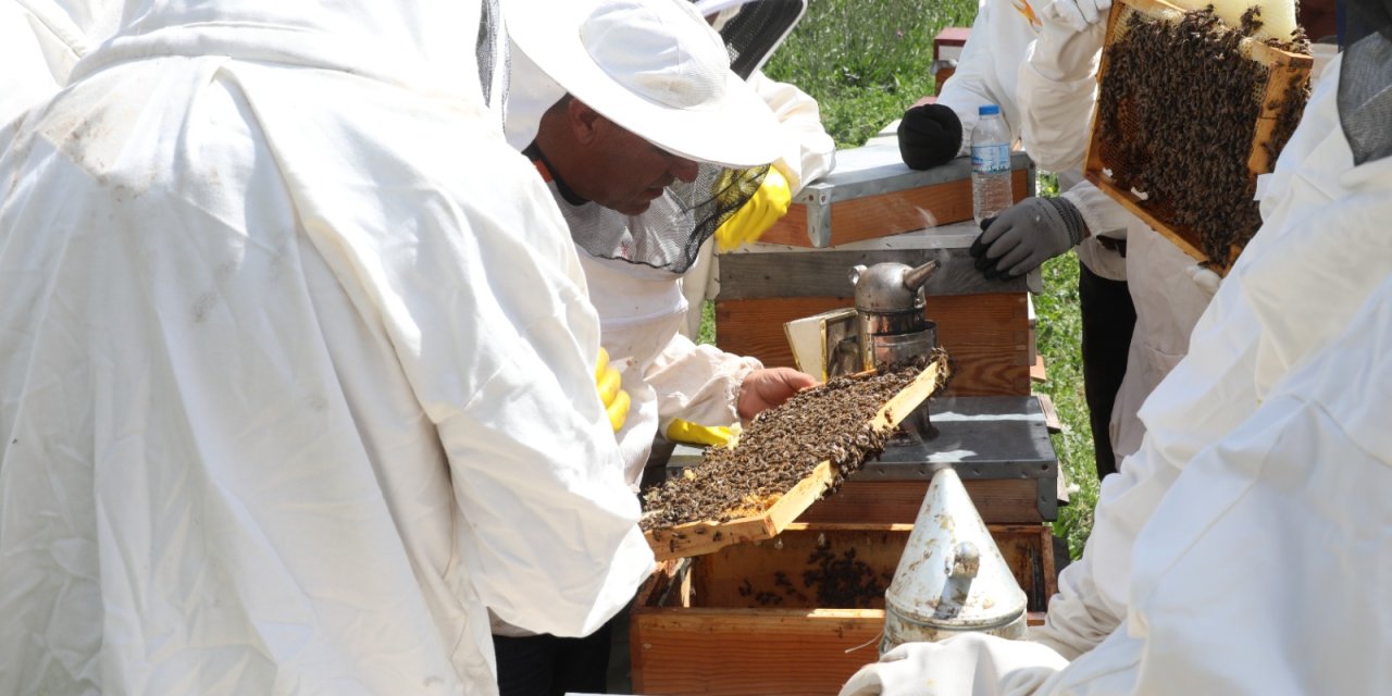 Arıköy için kayıtlar alınmaya başladı!