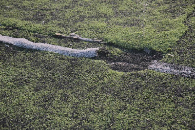 ESKOD ALT YAPI SAHASINA EL ATTI