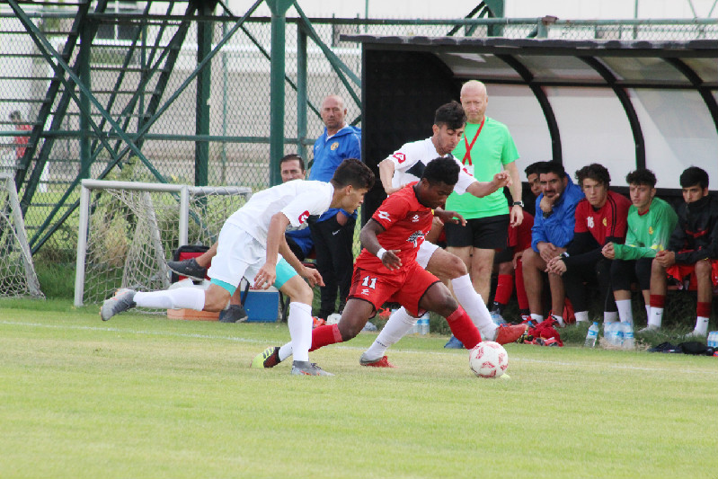 GENÇ ŞİMŞEKLER ARAYI DEĞERLENDİRDİ
