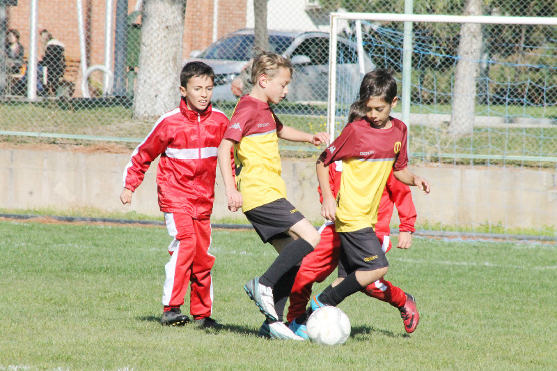 ANADOLU CUP RENKLİ  GÖRÜNTÜLERLE BAŞLADI