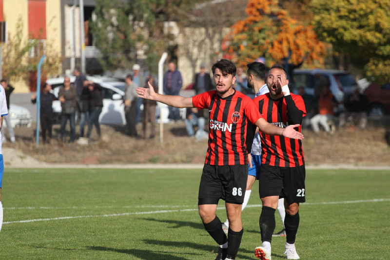 BALDA YAPRAK DÖKÜMÜ