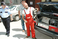 Otomobil bagajından KÖPEK KURTARMA OPERASYONU