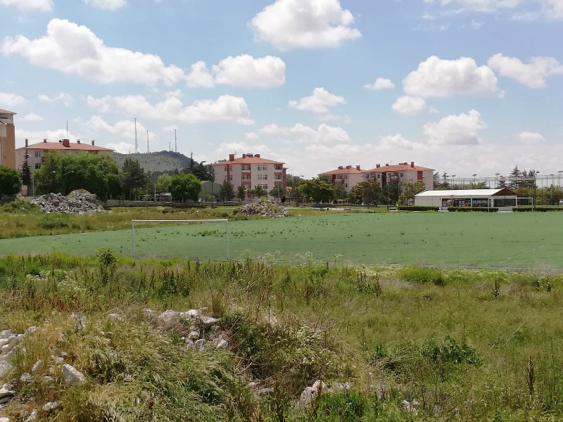 SENTETİK ÜZERİNDEN OTLAR ÇIKTI