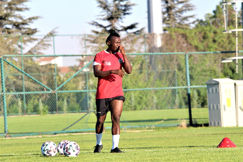 ALİMİNİN HİKAYESİ