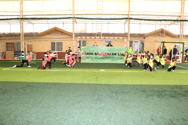 MİNİK ŞİMŞEKLERDE SEÇME ZAMANI