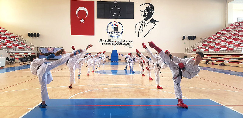 YAVRU KURTLAR ÇALIŞIYOR