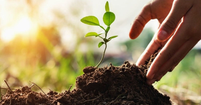 ES-ESE 1 MİLYON AĞAÇ