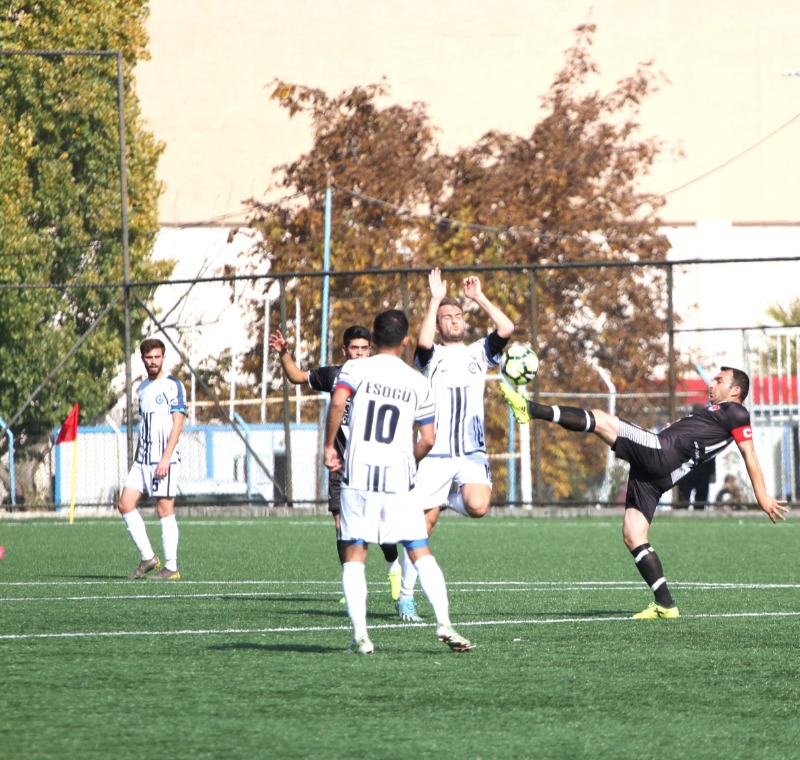 ÇİFTELER VE DEMİR GÜLDÜ