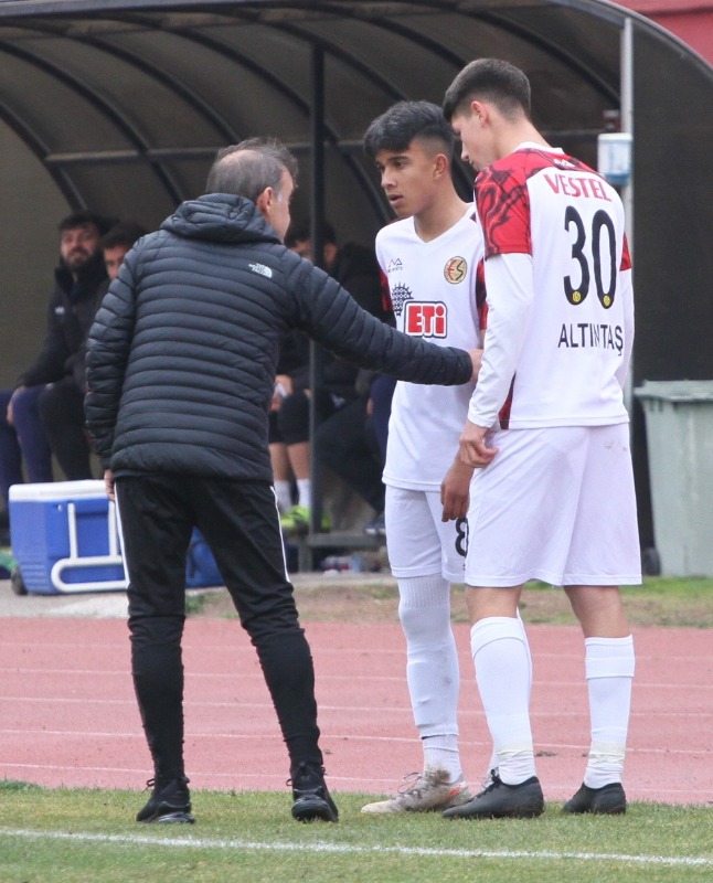 KAYANIN HAMLELERİ