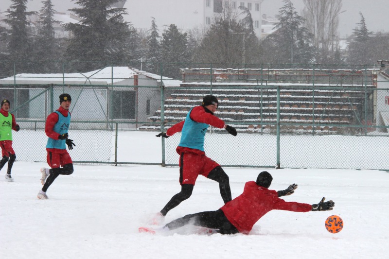 ŞİMŞEKLERİ HIRS BASTI