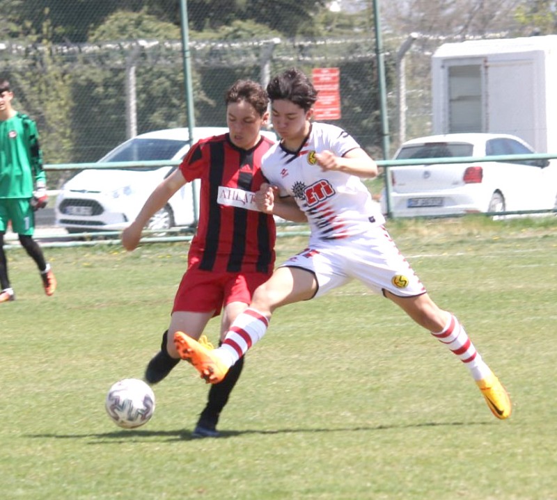 AKADEMİLER YİNE GURBETTE