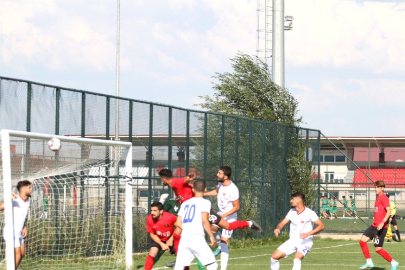 BARTU HIRS KÜPÜ