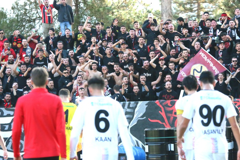 YALNIZ BIRAKMADILAR