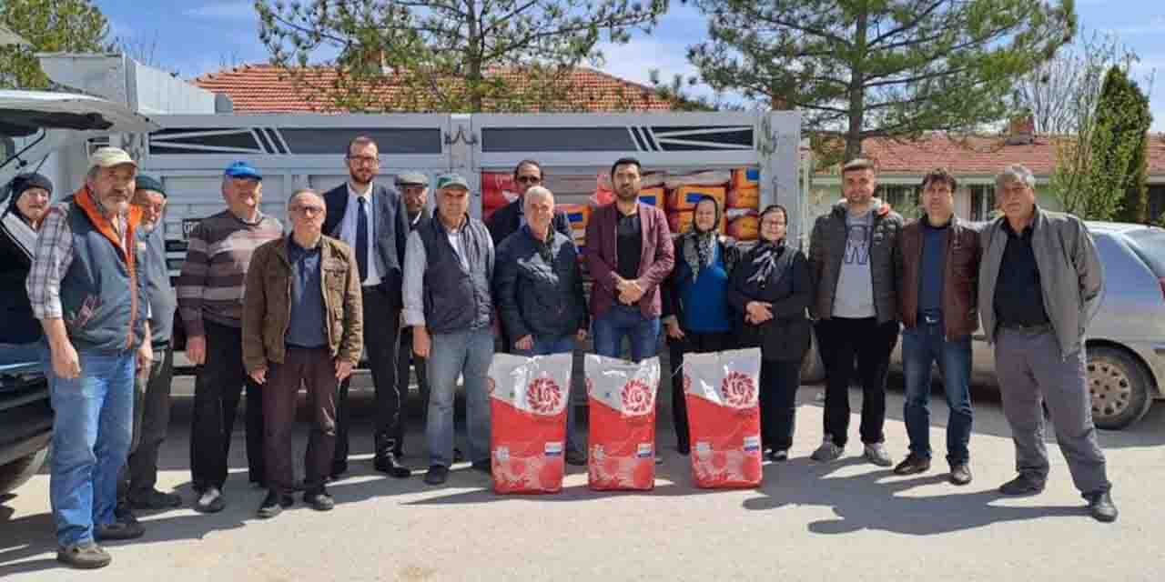 Mahmudiye çiftçisine ayçiçeği tohumu desteği