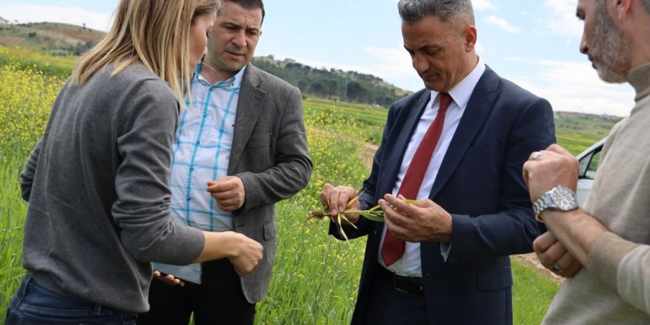 Ekim alanlarında fenolojik gözlem yapıldı