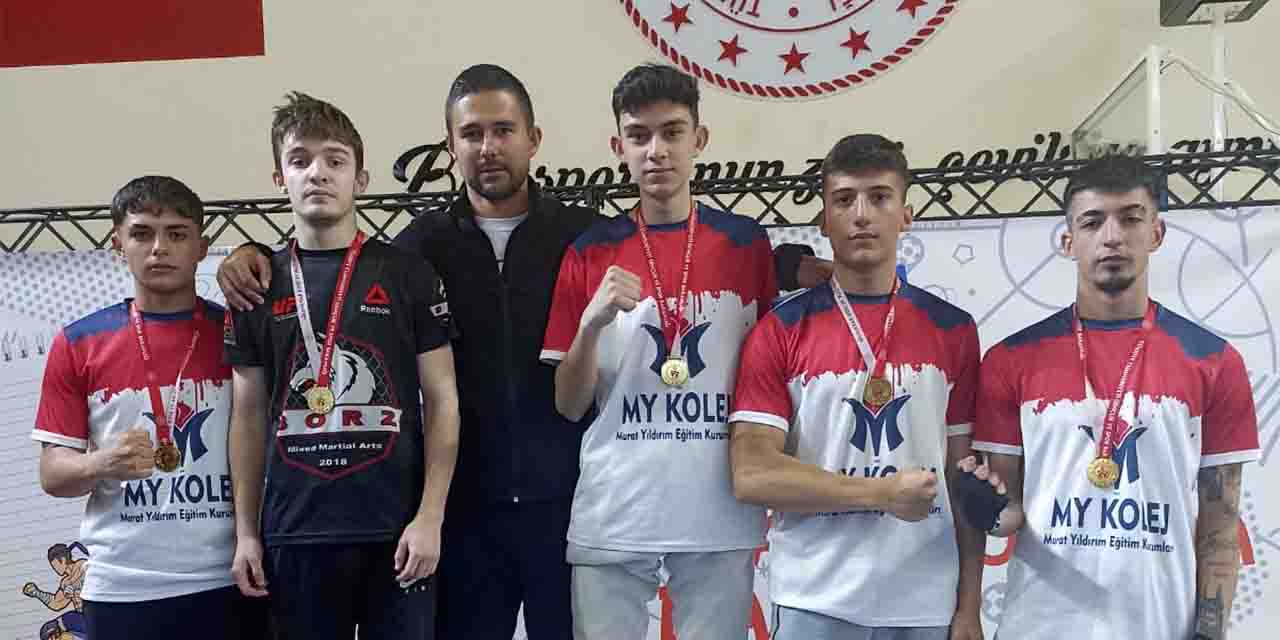 Wushu'ya my damgası