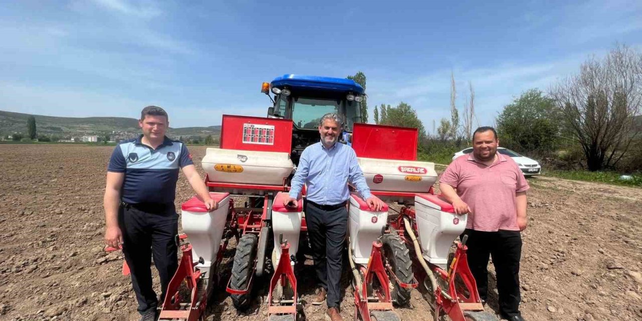 Yağlık ayçiçeği ekimi gerçekleştirildi