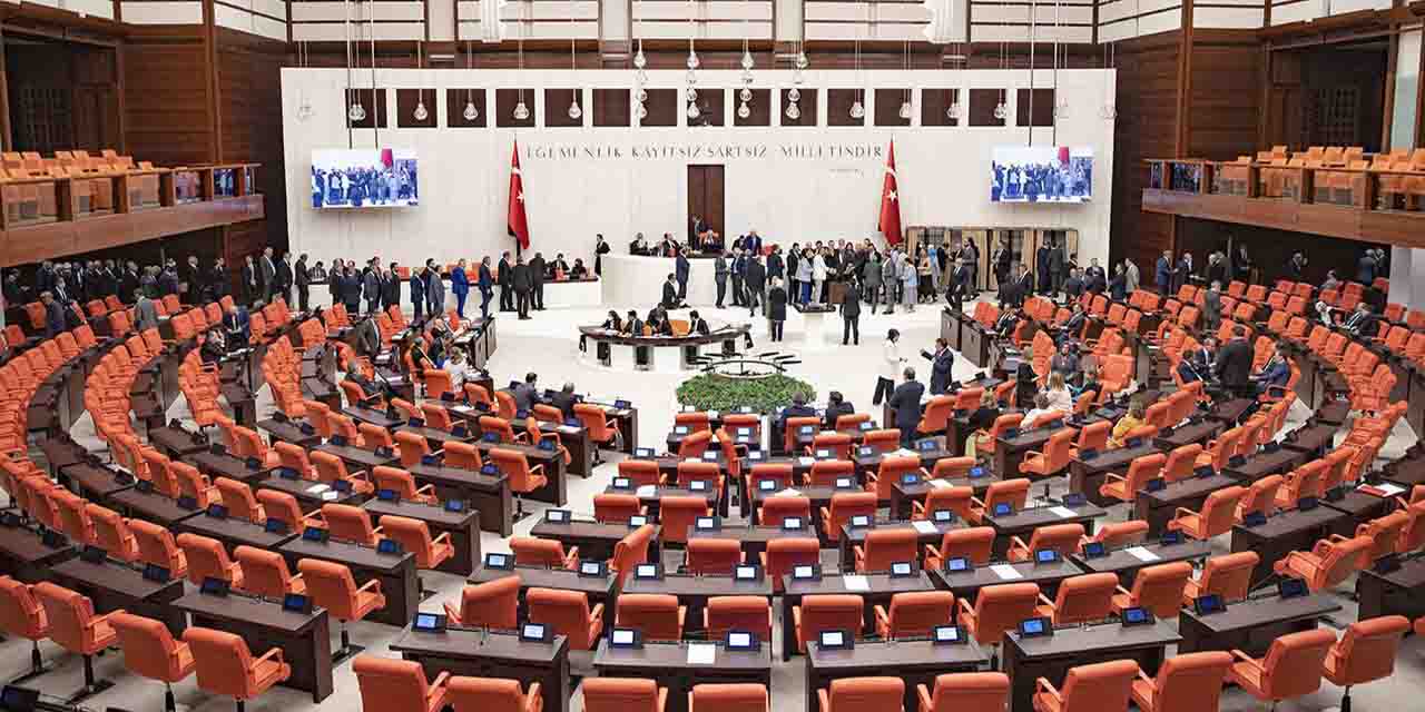"Başkanlık rejiminde Meclis çoğunluğunun bir önemi yoktur"