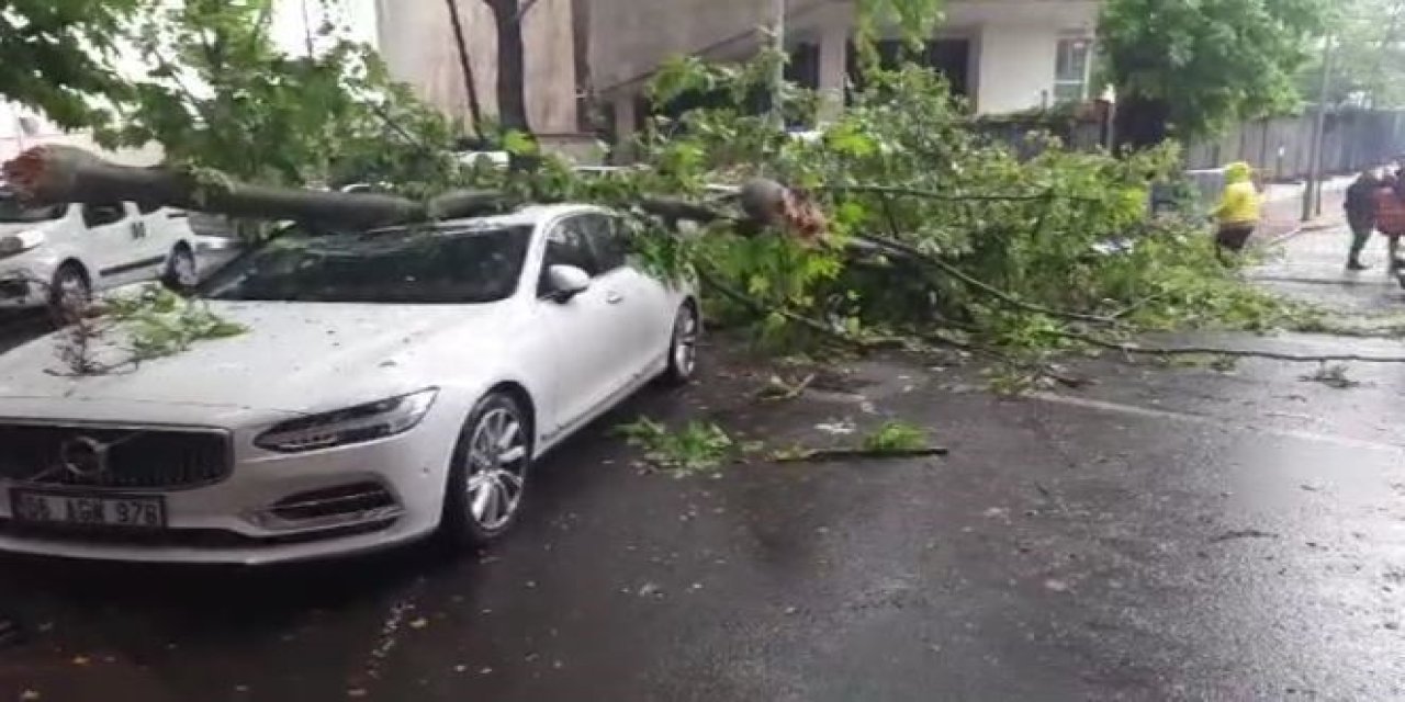 Ankara’da 3 aracın üzerine ağaç devrildi