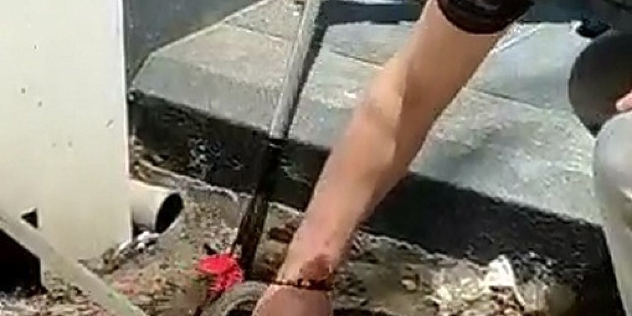 İstasyondaki yılanı iş adamı böyle yakaladı