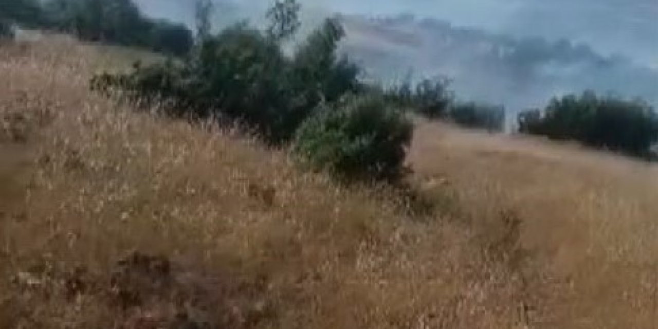 Kilis’te orman ve örtü yangını