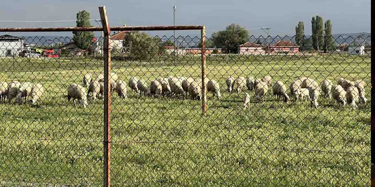 Eski futbol sahası ne hale geldi
