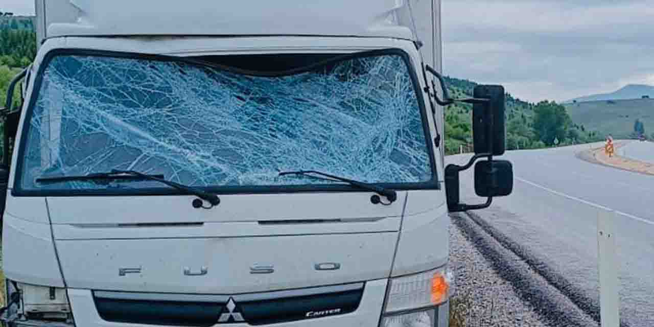 Afyon'da kamyonet trafik uyarı tabelasına çarptı