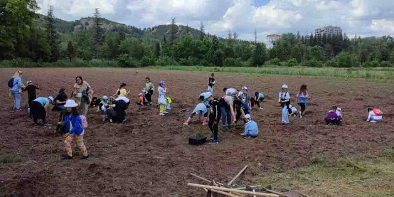 Minik öğrenciler doğayı yeşillendiriyor