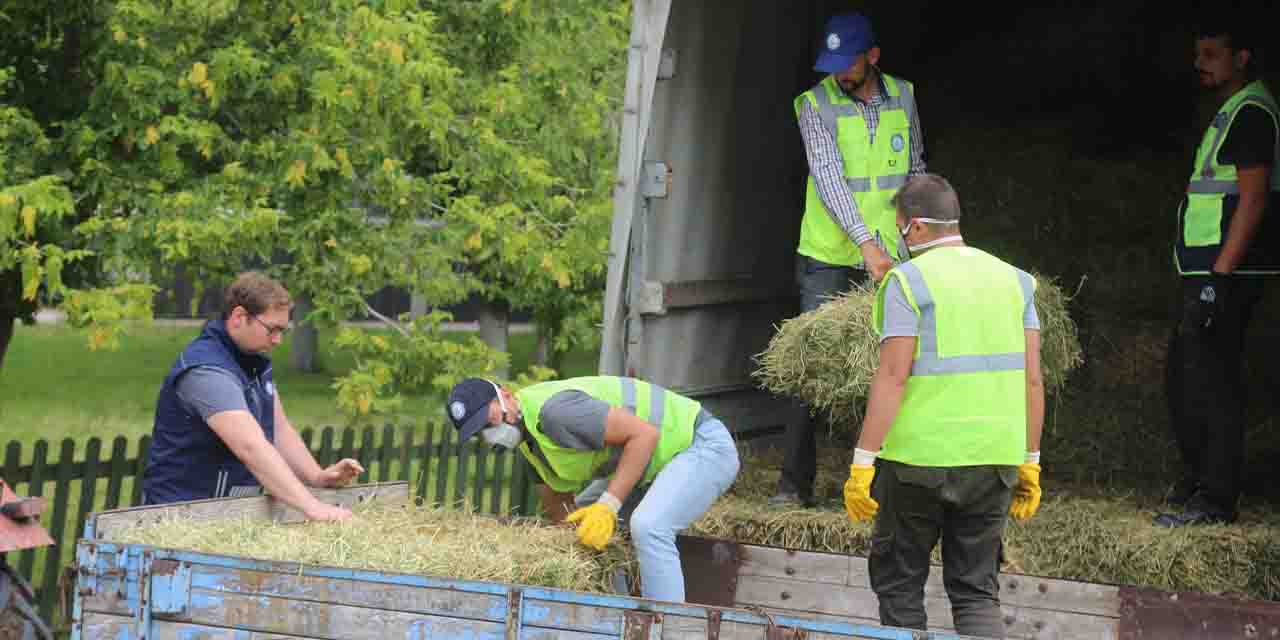 İnönülü hayvan üreticilerine balya desteği
