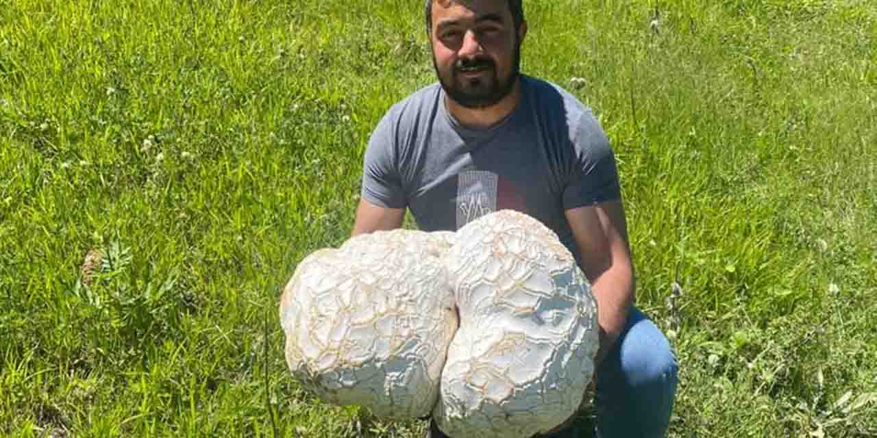Kaya sandığı şey bakın ne çıktı