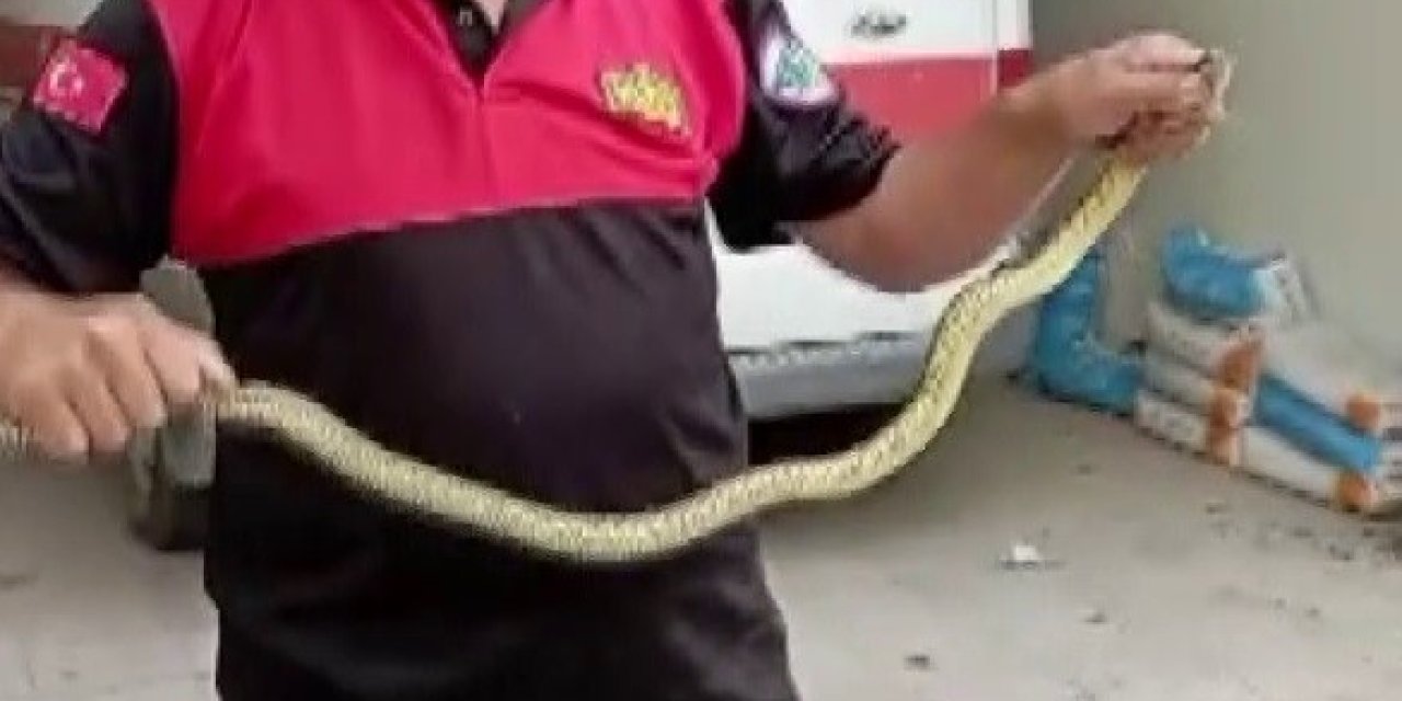 Hastane morgu önünde yılan paniği
