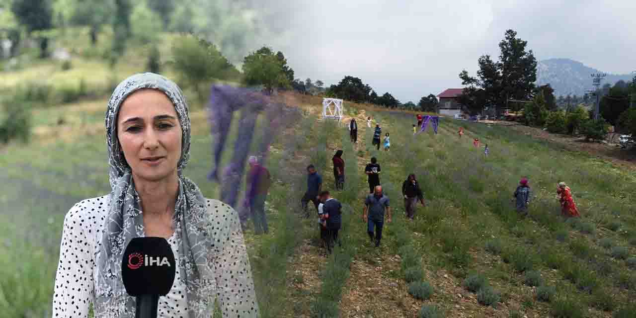 Kuraklık tehlikesiyle karşı karşıya olan araziyi kurtardı