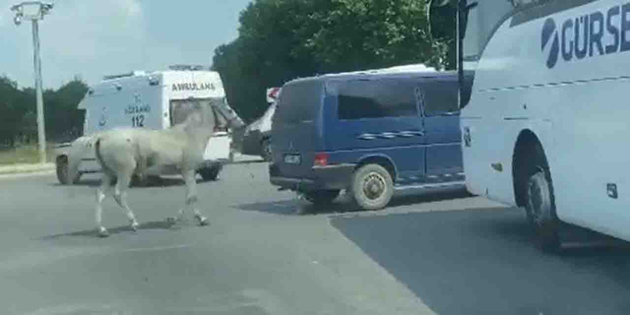 Eskişehir Cumhuriyet Başsavcılığı işkence olayına el koydu