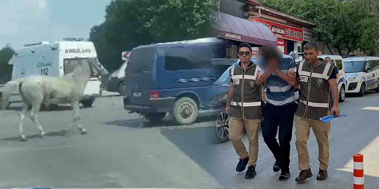 Eskişehir'de atı minibüse bağlayan şahıs serbest bırakıldı