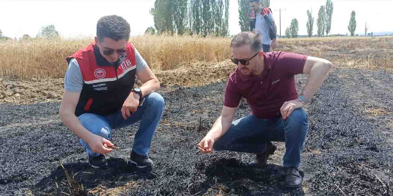 Eskişehir'de yanan 60 dönümlük arazi inceleniyor