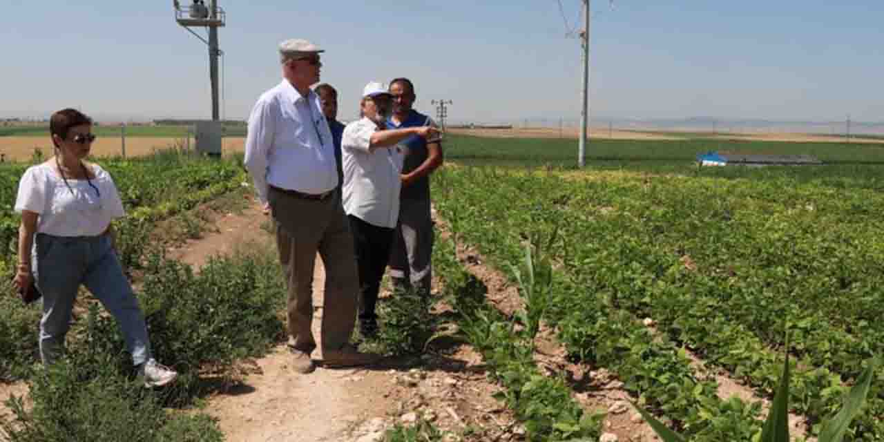 Başkan Kurt Odunpazarı'nın tarımsal çalışmalarını sıraladı