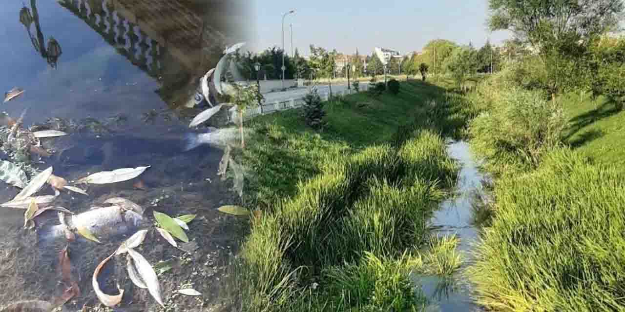 Eskişehir'de o derede her su kesintisinde aynı sorun