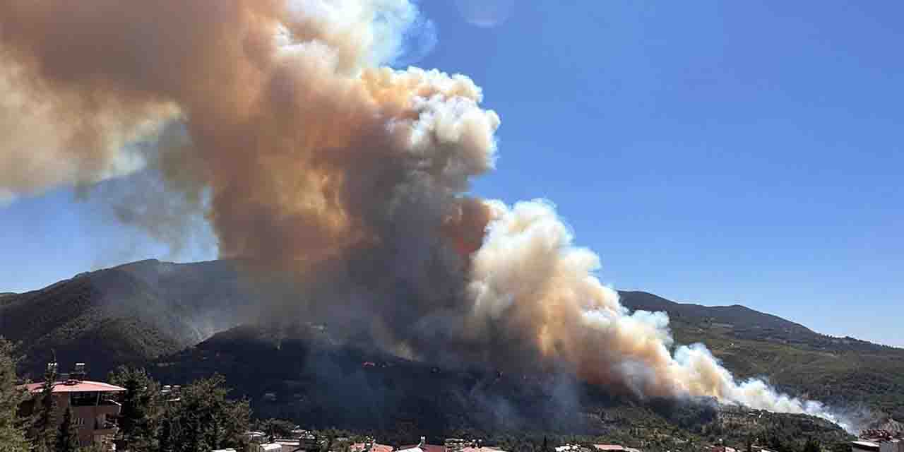 Hatay'da korkutan orman yangını