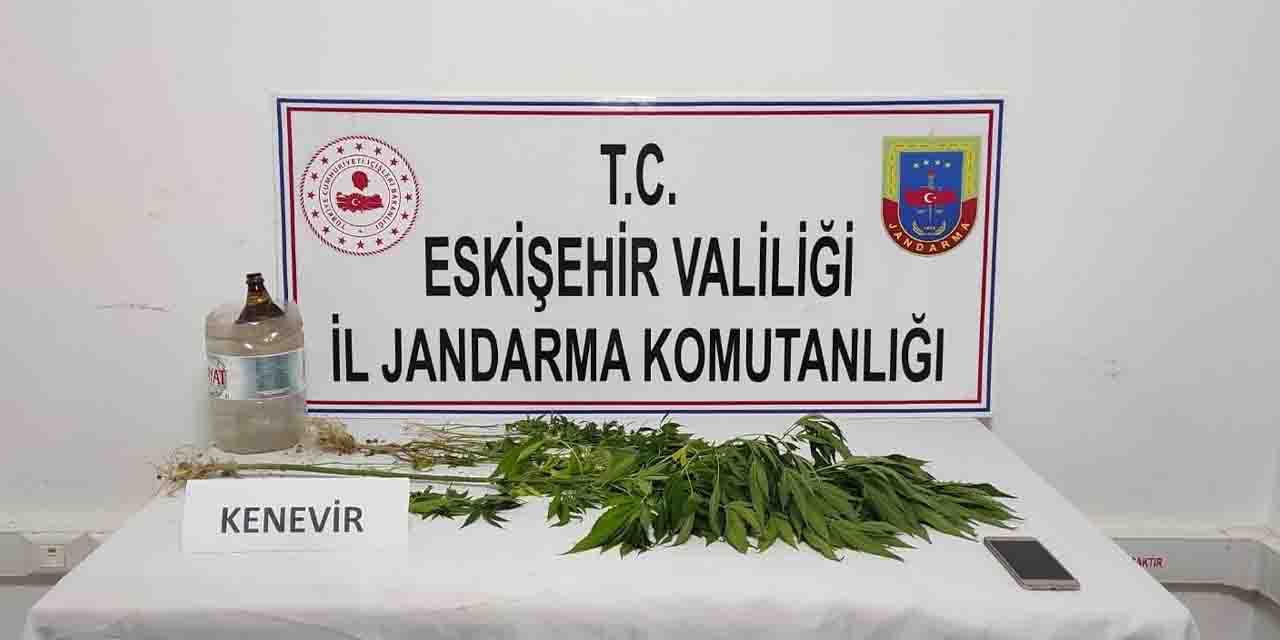 Eskişehir'de mezarlıkta uyuşturucu madde yetiştirdi