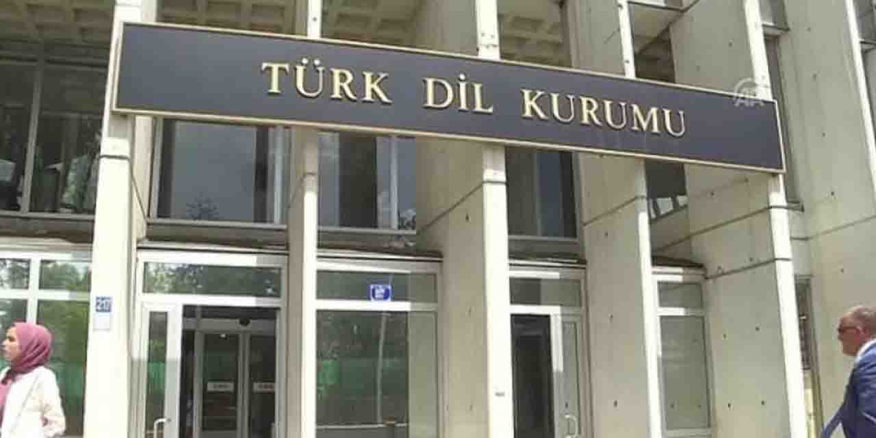 TDK o kelimeyi ve tanımını kaldırdı