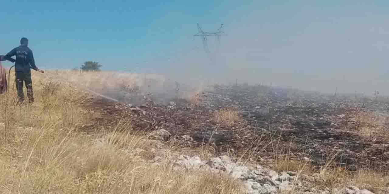 Malatya'da bin dönümlük meralık alanda yangın