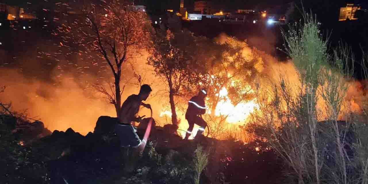 Cezayir'deki orman yangını 15 can aldı